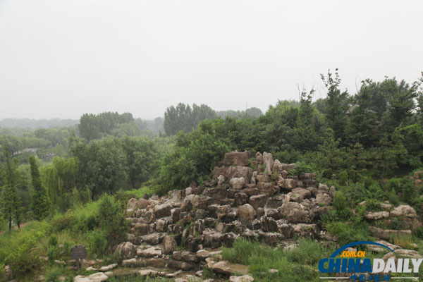 聚焦城市之肺 白浪河濕地幽雅靜謐成北方“煙水江南”