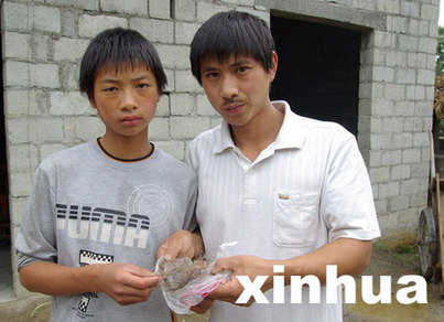 中國專家擬重新啟動神農架“野人”科學考察