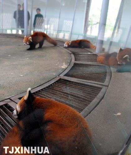 天氣轉涼暖籠舍