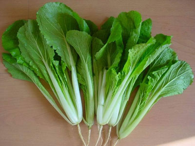 養(yǎng)生：大蒜抗癌蘋果改善心血管 8大長(zhǎng)壽食物（圖）