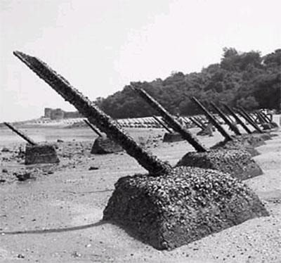 臺灣望與大陸聯(lián)手申遺 稱文化遺產(chǎn)無關(guān)政治