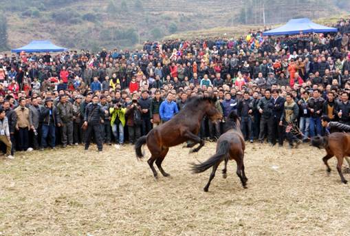 古龍十六坡會在廣西融水舉行