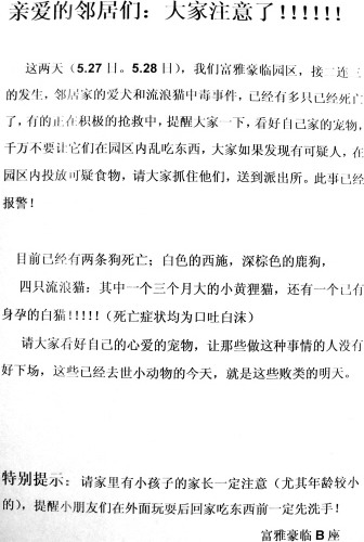 反感流浪貓狗惹民怨 業主悄悄投毒殘害生命