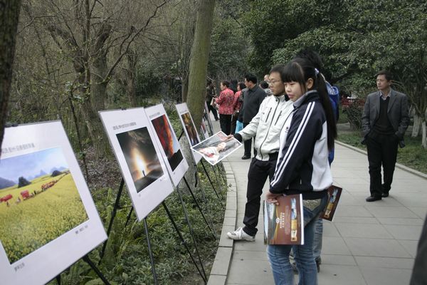 成都第八屆海棠花會掠影