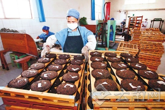 第七屆中國生物產(chǎn)業(yè)大會(huì)：凝聚智慧共謀發(fā)展新路