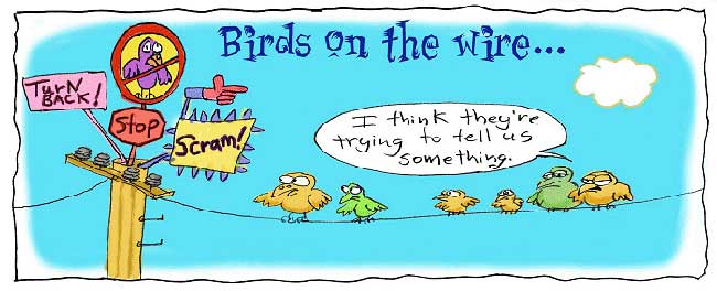 為什么鳥兒站在電線上不會觸電