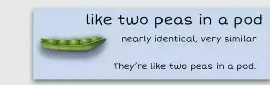 萌你一臉的生活常用諺語(yǔ)！