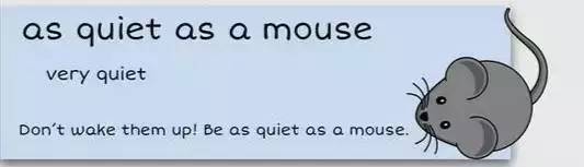 萌你一臉的生活常用諺語(yǔ)！