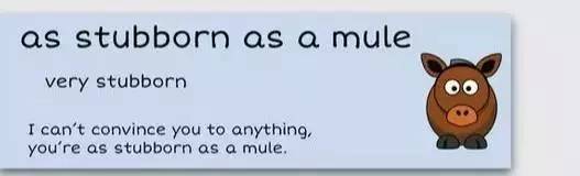 萌你一臉的生活常用諺語(yǔ)！