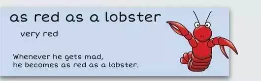 萌你一臉的生活常用諺語(yǔ)！