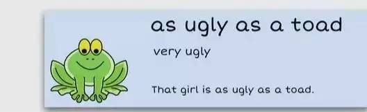 萌你一臉的生活常用諺語(yǔ)！