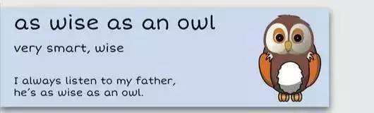 萌你一臉的生活常用諺語(yǔ)！