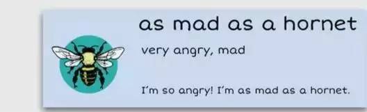 萌你一臉的生活常用諺語(yǔ)！