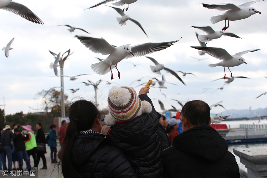 春節(jié)不知道去哪玩？國(guó)內(nèi)十大熱門城市走起！（組圖）
