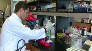 留學問答:到英國讀醫(yī)學博士