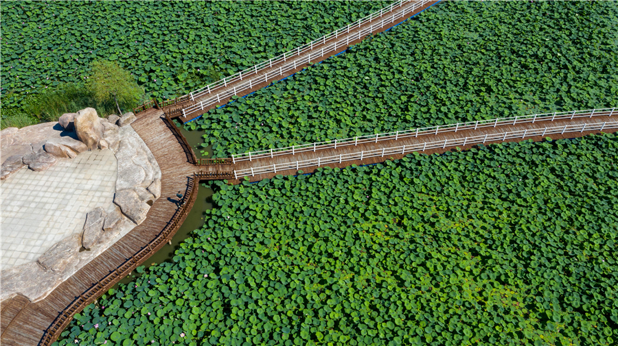 Chagan Lake achieves new luster in Jilin