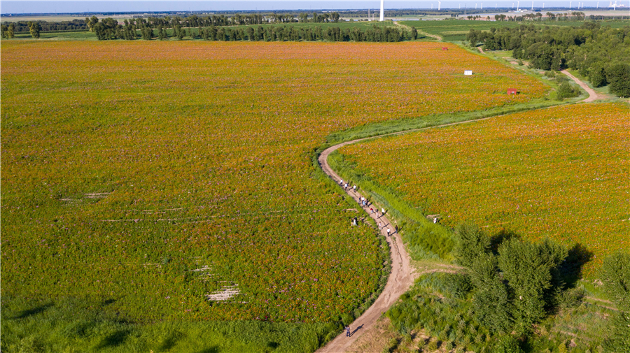 Chagan Lake achieves new luster in Jilin