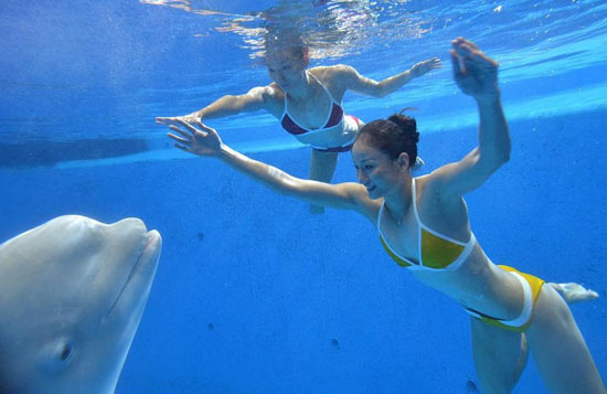 文婷姐妹拍水下婚紗照與海豚共舞