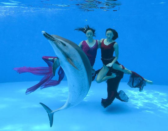 文婷姐妹拍水下婚紗照與海豚共舞