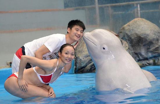 文婷姐妹拍水下婚紗照與海豚共舞